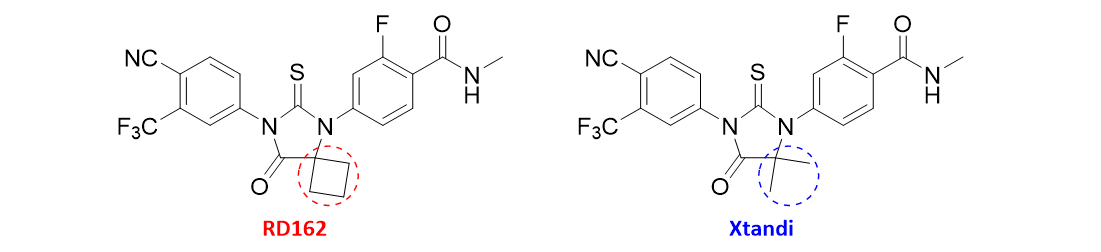 geminal-dimethyl and cyclobutyl moiety