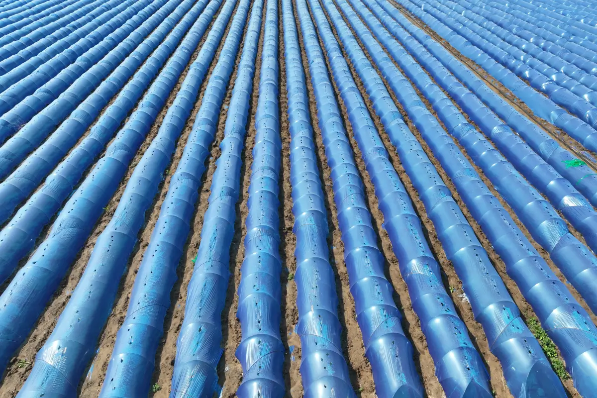 Agriculture & AgTech banner